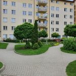 190688096_4001093510011667_6680436492622086091_n